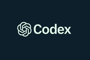 2026最新Codex 完整使用教程：从零安装到实战配置的保姆级教程